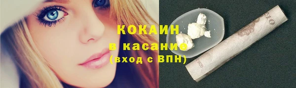 ПСИЛОЦИБИНОВЫЕ ГРИБЫ Абаза