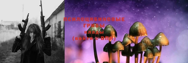ECSTASY Алзамай