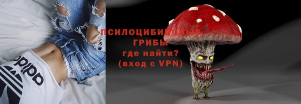 ПСИЛОЦИБИНОВЫЕ ГРИБЫ Абдулино