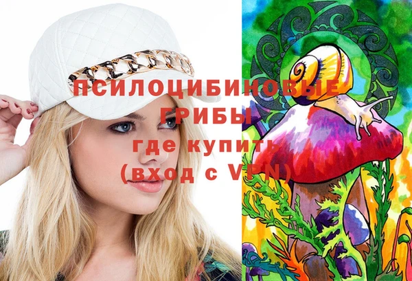 ECSTASY Алзамай