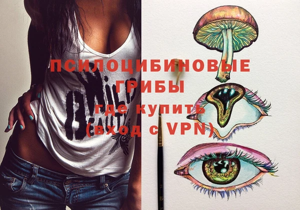 ECSTASY Алзамай