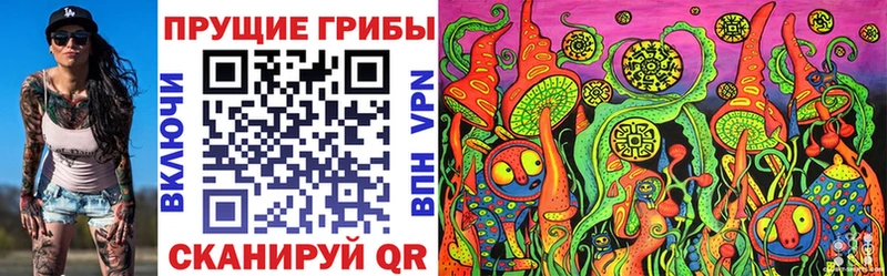 Псилоцибиновые грибы MAGIC MUSHROOMS  KRAKEN онион  Людиново  даркнет сайт 